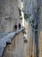 Ç_lora-Desfiladro de los Gaitanes - El Chorro08.jpg